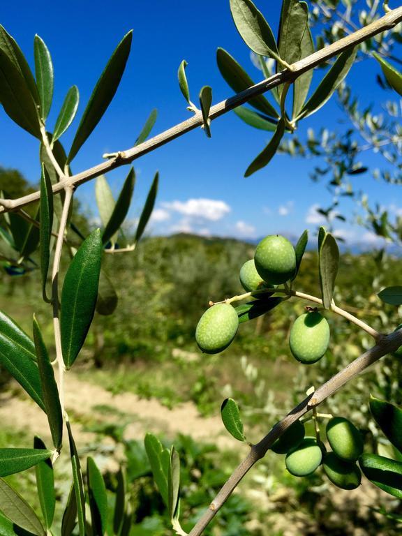 Poggio Paradiso Apartments Mengara Εξωτερικό φωτογραφία